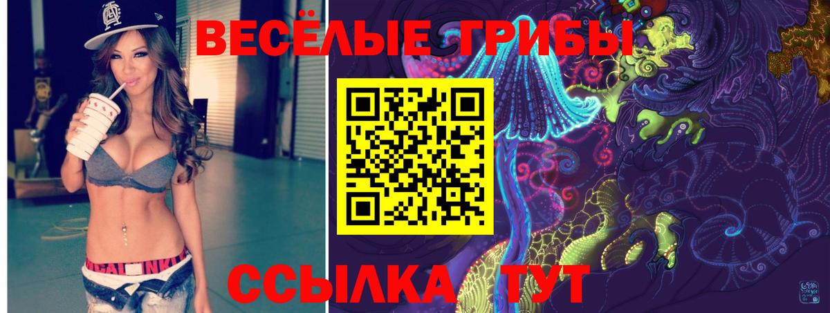 Екатеринбург  магазин    Вход с VPN  Псилоцибиновые грибы мицелий 